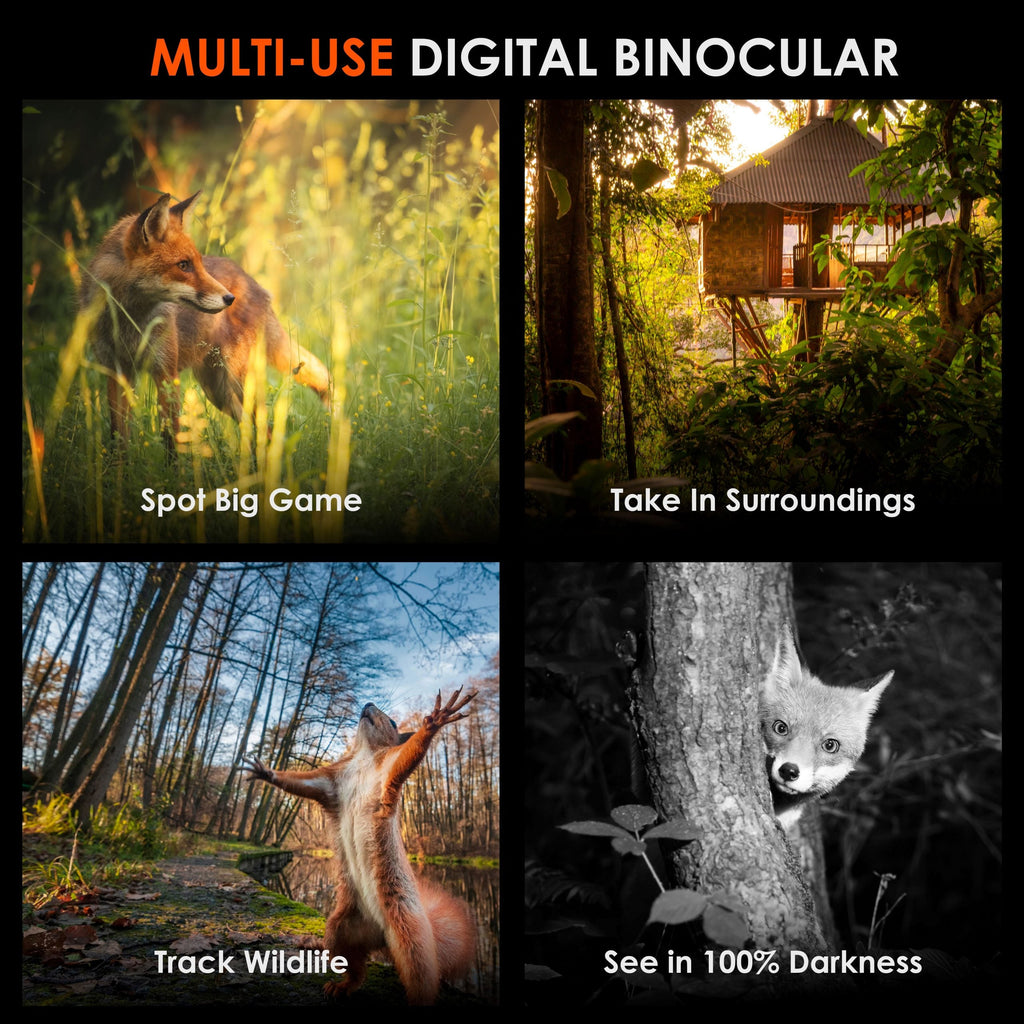 Rexing B1 Pro – 4K IR Night Vision Digital Binocular - Big Mike Buys