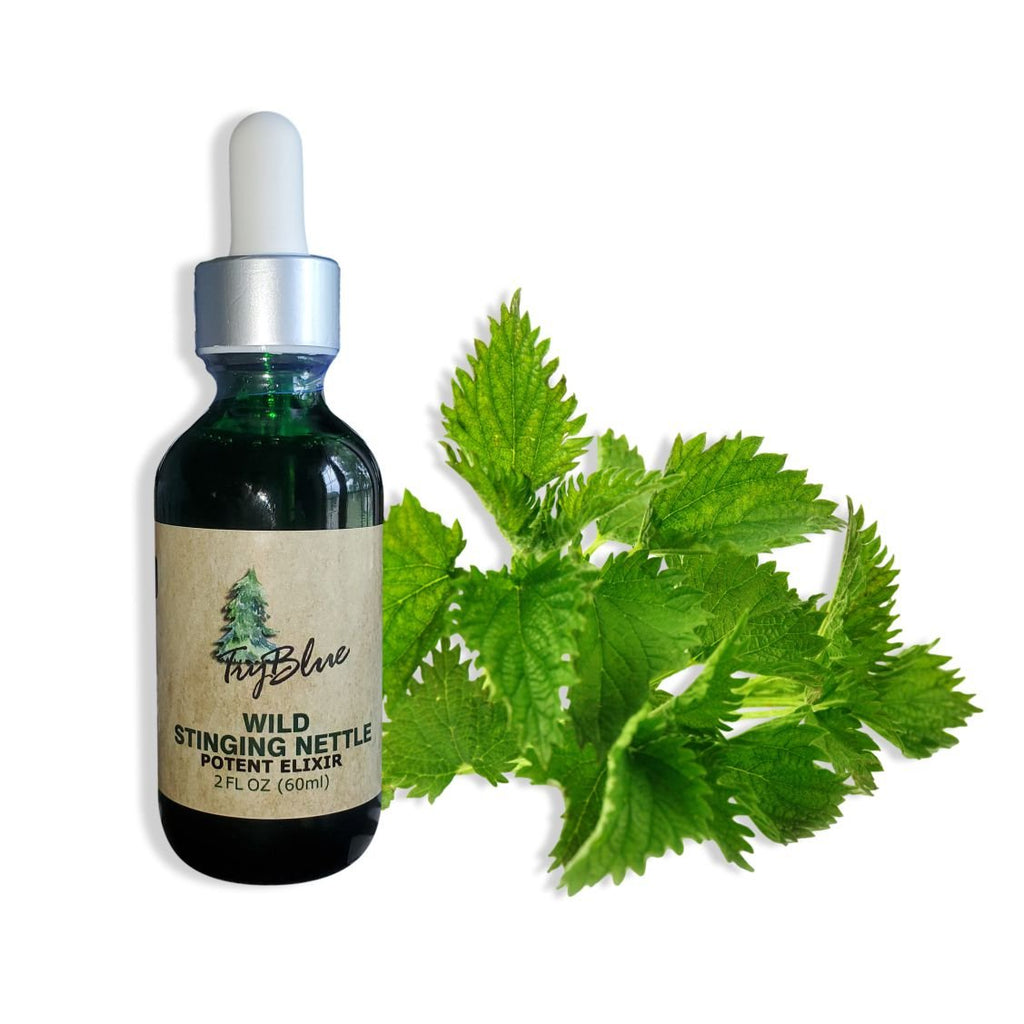 Wild Stinging Nettle Elixir - Big Mike Buys