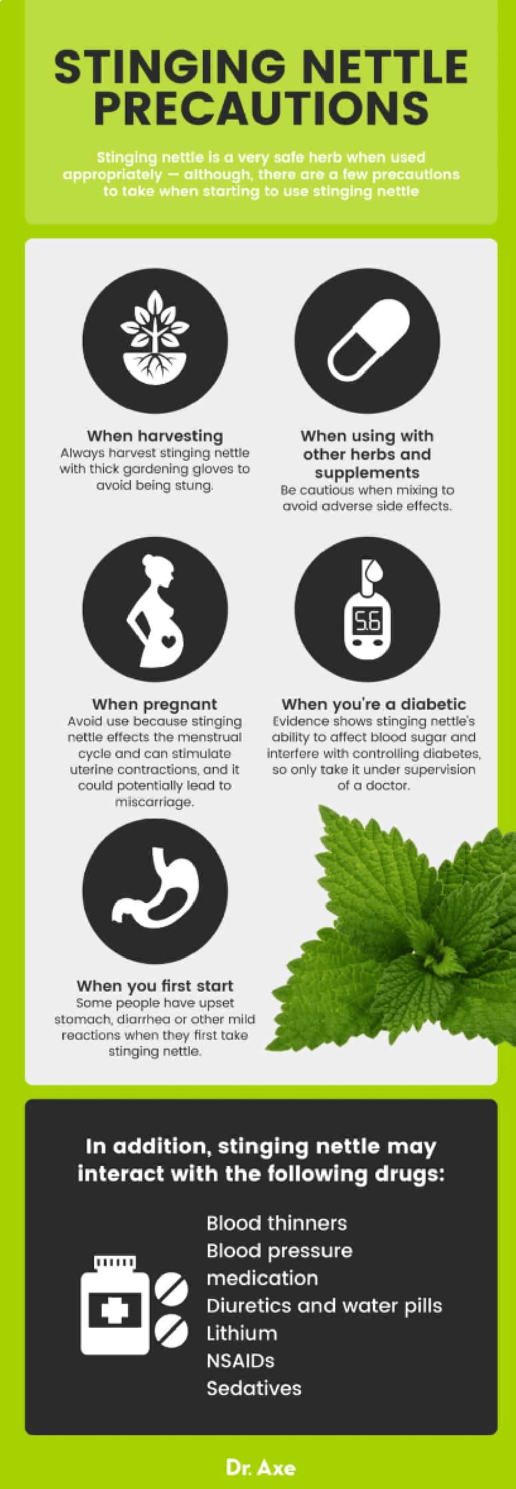 Wild Stinging Nettle Elixir - Big Mike Buys