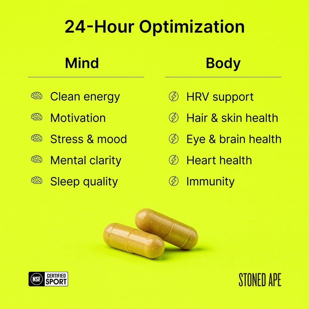 Nootropack: Our Nootropic Bundle - Big Mike Buys