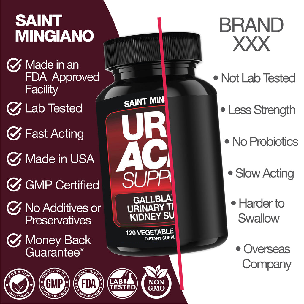 Uric Acid Support - 120 Capsules - Supports Kidney Cleanse Detox & Repair, Gallbladder & Urinary Tract Issues - Big Mike Buys