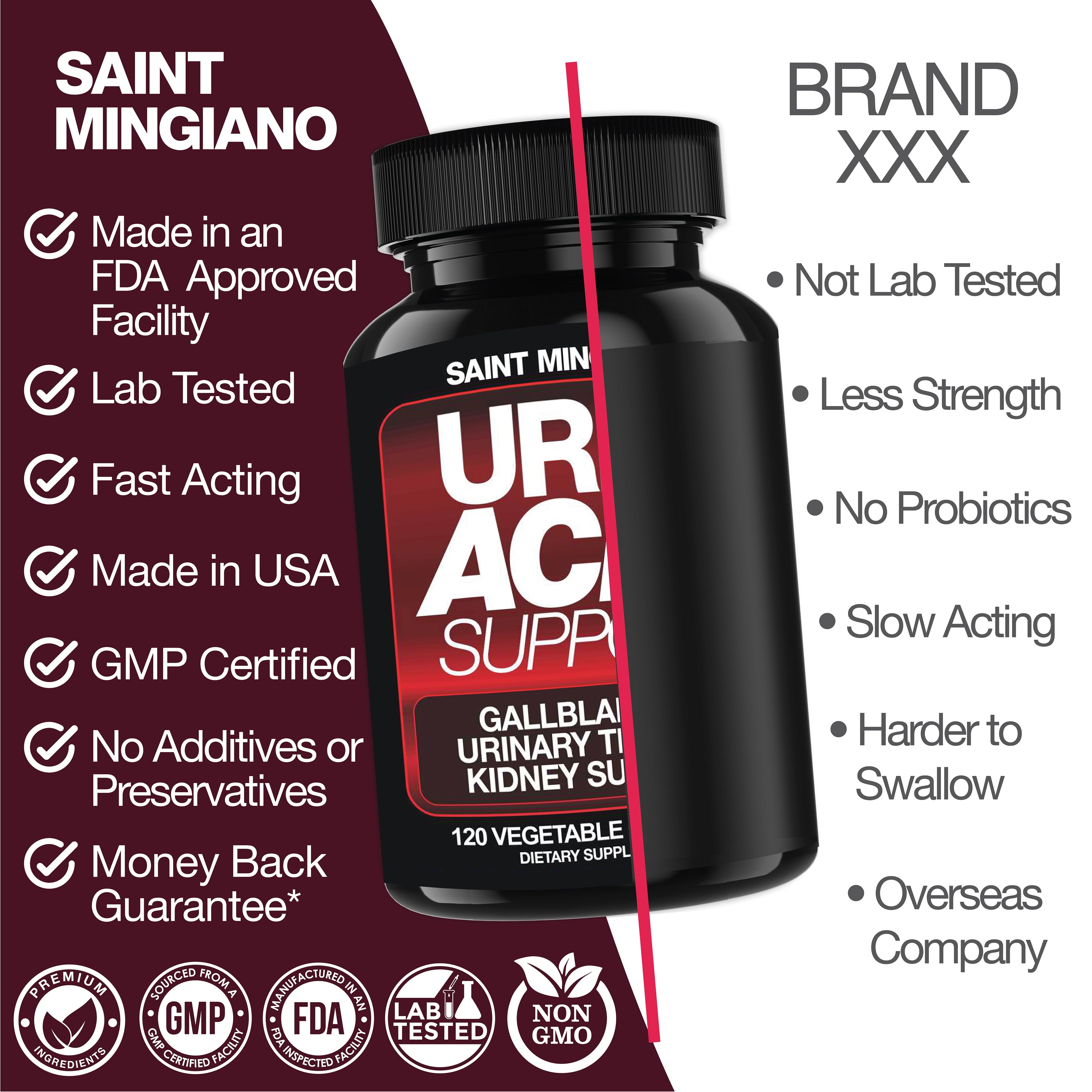 Uric Acid Support - 120 Capsules - Supports Kidney Cleanse Detox & Repair, Gallbladder & Urinary Tract Issues - Big Mike Buys