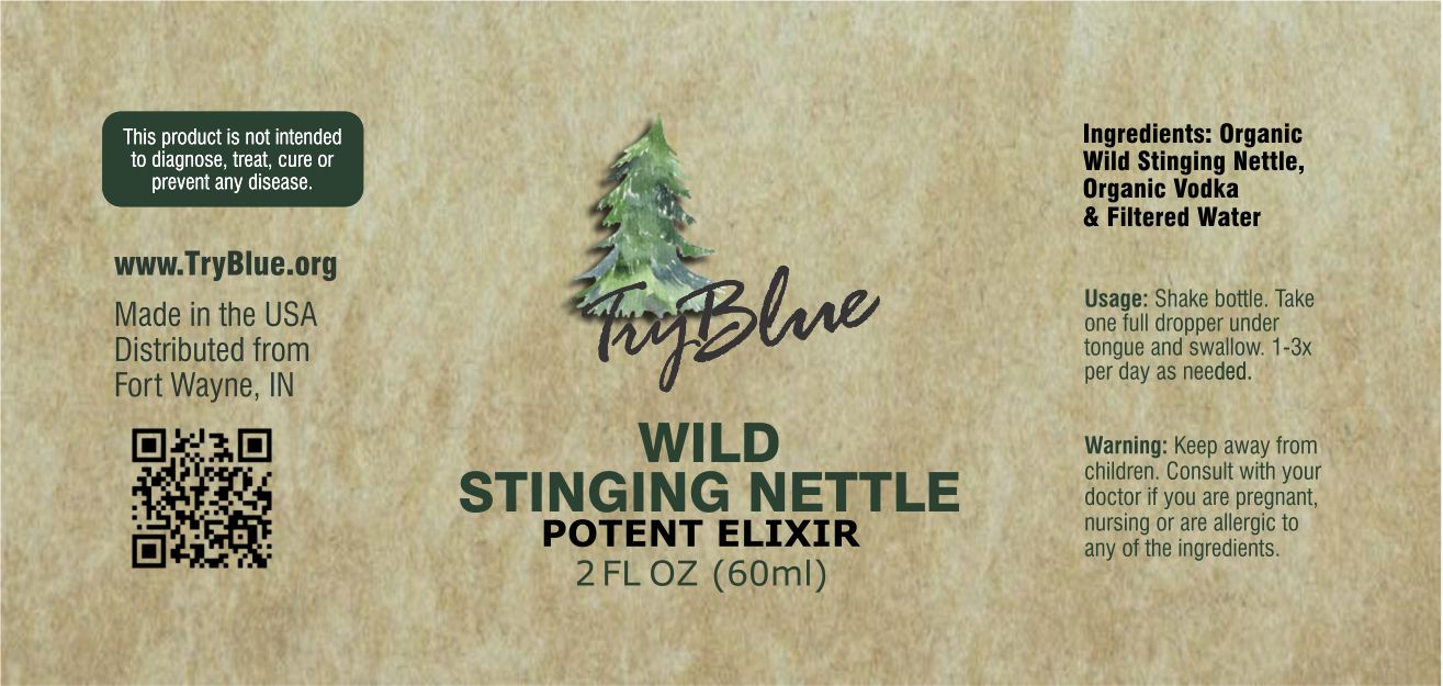 Wild Stinging Nettle Elixir - Big Mike Buys