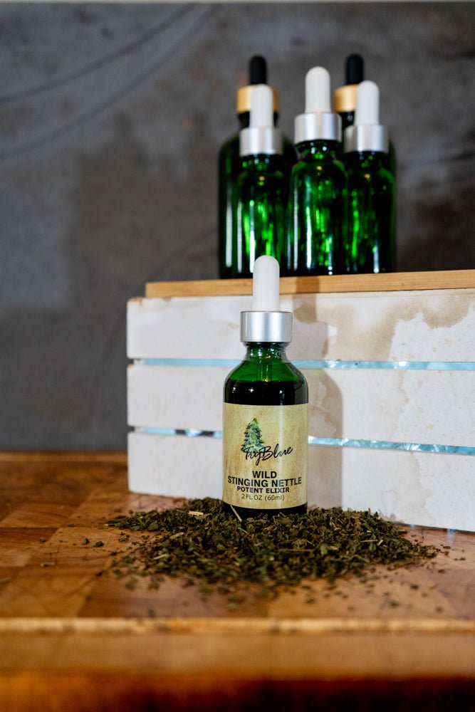 Wild Stinging Nettle Elixir - Big Mike Buys
